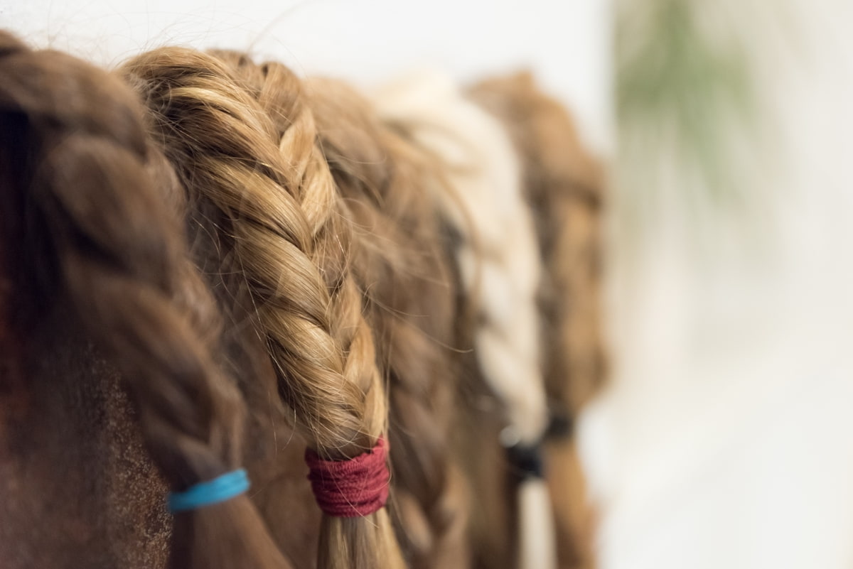 geflochtene Zöpfe in verschiedenen Haarfarben