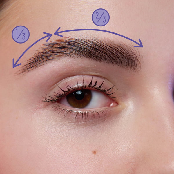 Die richtige Augenbrauen Form Grafik zeigt die richtige Brow Shape
